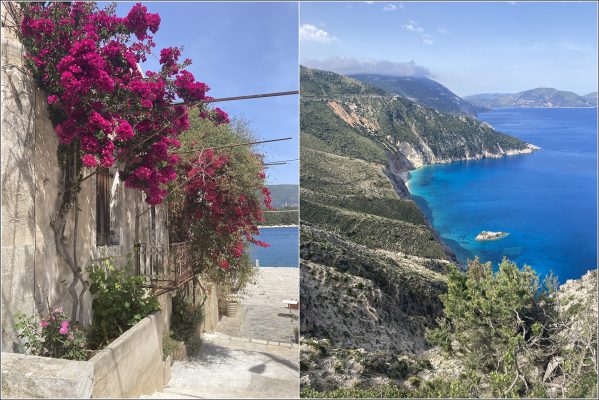 Bougainvilla and Greek Coastal Scene