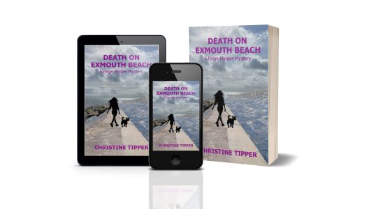 Christine book cover